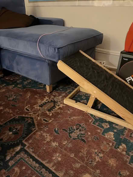 Photo of free Pet ramp (Cambridgeport) #1