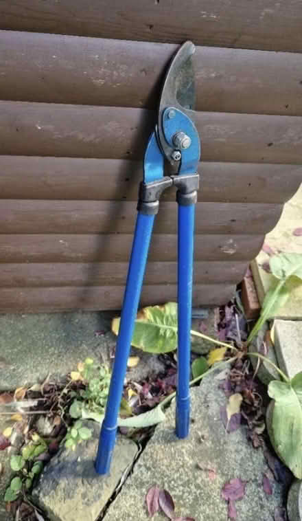 Photo of free Spare loppers (SK8 Cheadle) #1