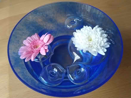 Photo of free Flower heads floaters (Victoria SW1V) #2