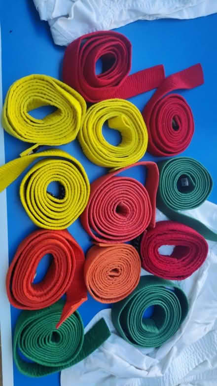 Photo of free Colourful Karate Belts (Evington Village LE5) #1