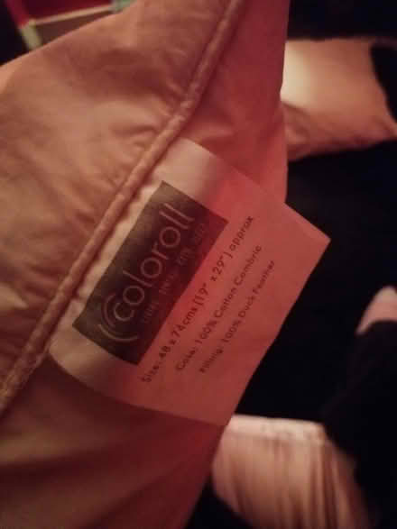 Photo of free two duck feather pillows (G20 Glasgow Maryhill) #2