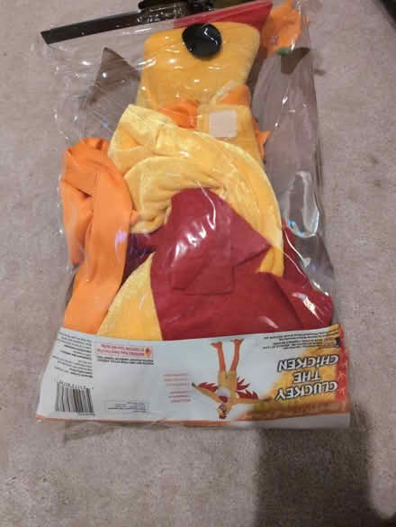 Photo of free Chicken costume (North Fremont/union City area) #1