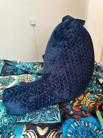 Photo of free Sitting cushion (LU5 5HX) #2