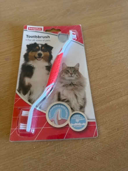 Photo of free Pet toothbrush (Woodmancote GL11) #1