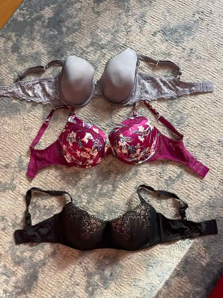 Photo of free Bras (Roehampton (SW15)) #1