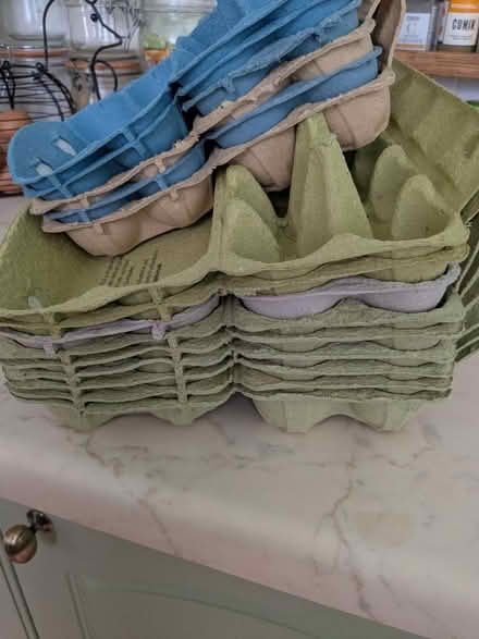 Photo of free Selection of cardboard egg boxes (Llandrindod LD1) #1