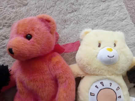 Photo of free Soft toys (MK41) #4