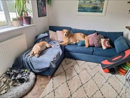 Photo of free 5 seater sofa bed with storage (BN41) #1