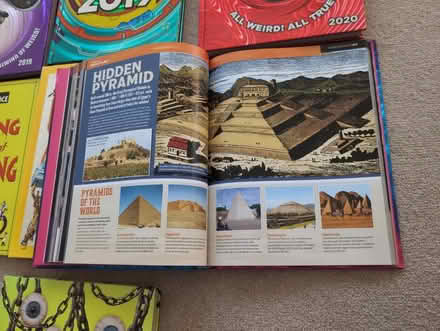 Photo of free Selection of "facts" books (Berkhamsted HP4) #2