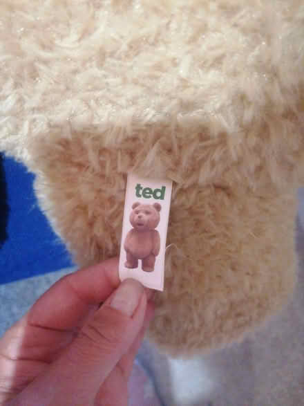 Photo of free 'Ted' teddy (Bramley LS13) #2