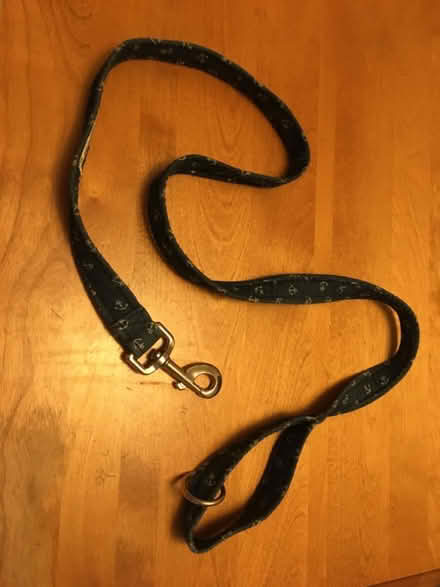 Photo of free Dog lead, hardly used (Shrewsbury) #1