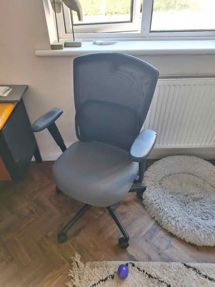 Photo of free Office chair (BN41) #2