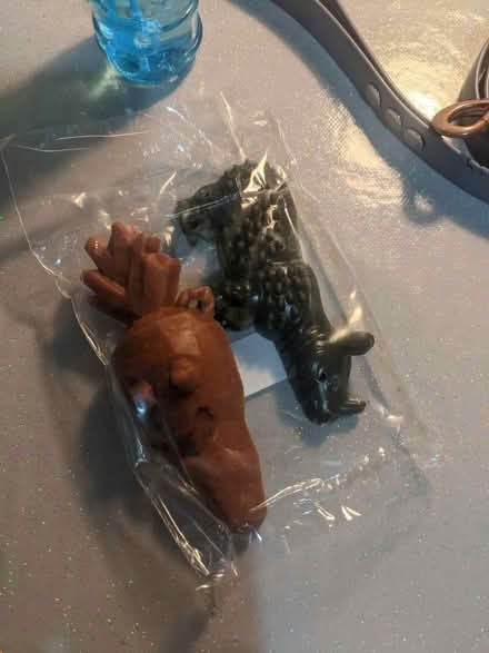 Photo of free Dog bundle (EH5, Granton, Edinburgh) #2