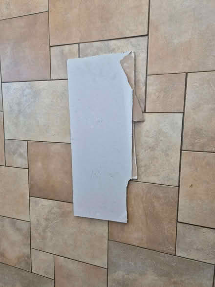Photo of free Small piece plaster board approx 30cm x 80cm (Headington OX3) #1