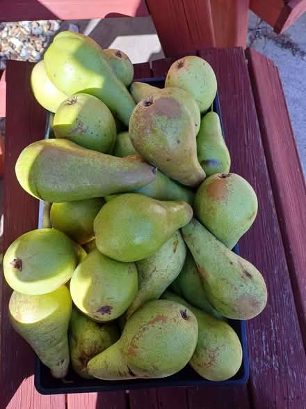 Photo of free Conference pairs (Morley DE21) #1