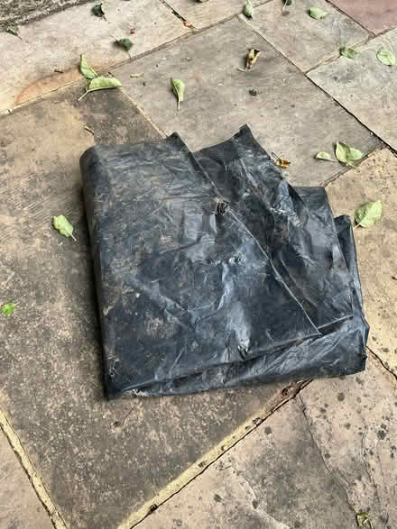 Photo of free Black plastic sheet (Linslade LU7) #1