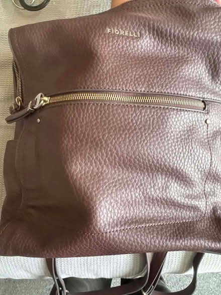 Photo of free Fiorelli backpack/handbag (TN39 Bexhill) #1