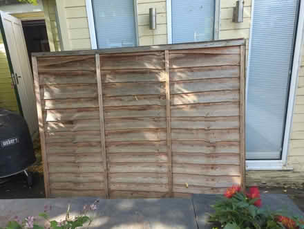Photo of free Wooden fences (SS09TG) #3