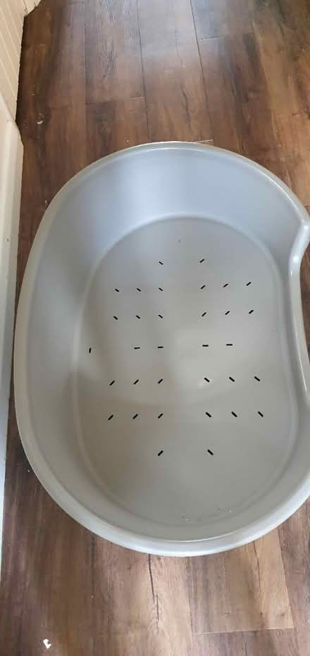 Photo of free Dog bed (BR3 beckenham) #1