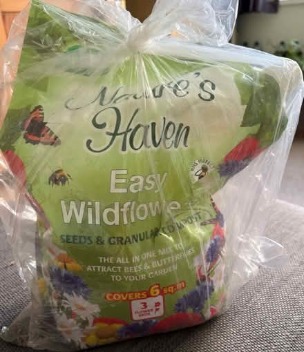 Photo of free Wild flower seeds (Cosham PO6) #1