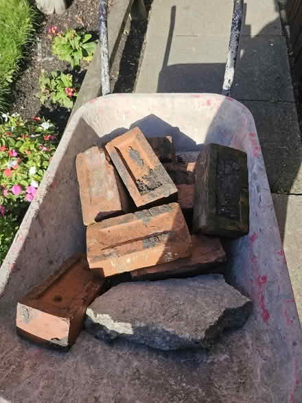 Photo of free Approximately 30x house bricks (BL3) #1