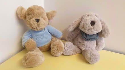 Photo of free Cuddly toys (Neithrop OX16) #1