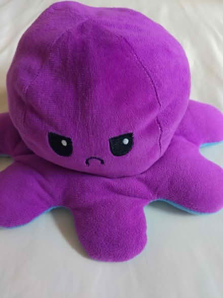Photo of free Reversible plush octopus (New Marston OX3) #2