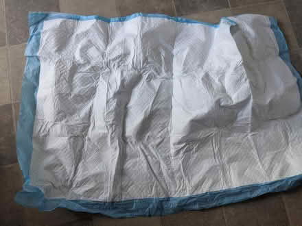 Photo of free Incontinence bed pads (Wood Street) #1