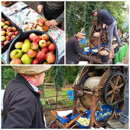 Photo of Apples (Liden SN3) #1