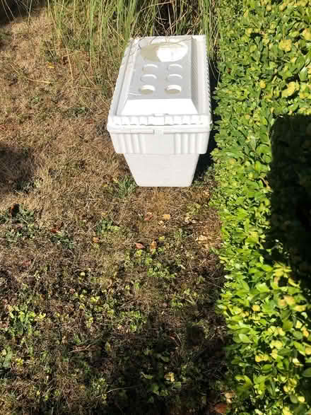 Photo of free Cooler (Aurora (N Seattle/ Shoreline)) #1