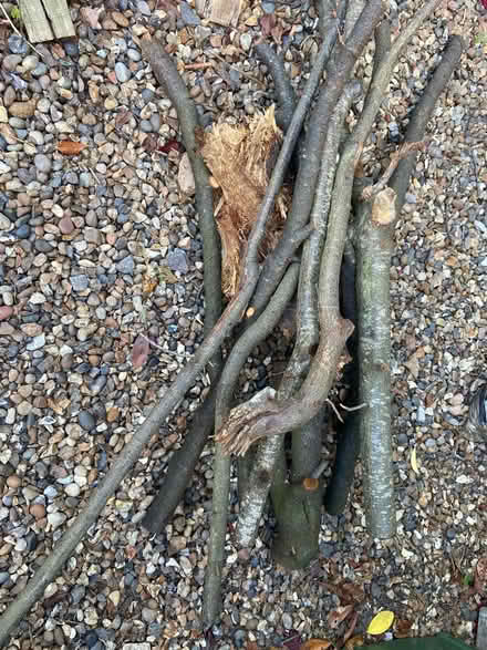 Photo of free Logs wood for fire (St Albans AL1) #1