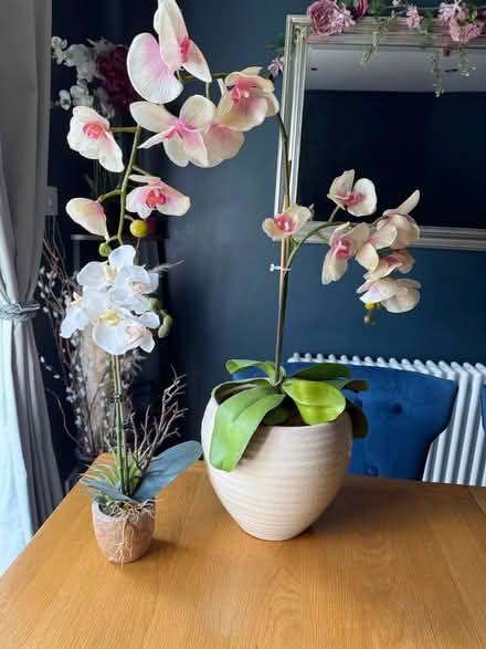 Photo of free 2x Artificial Orchids (NW6) #1