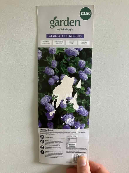 Photo of free bush/plant for garden (BA2) #2