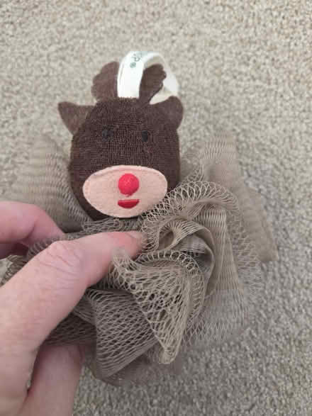 Photo of free The Body Shop Reindeer Exfoliator (Lightwood ST3) #1