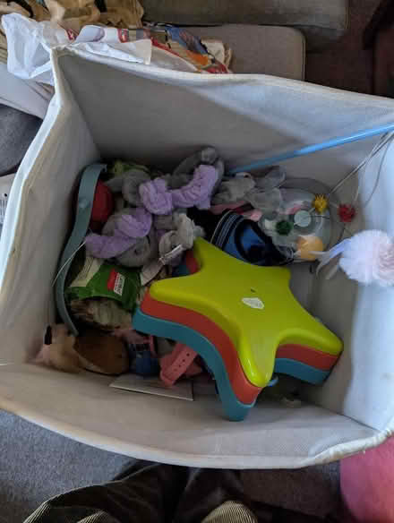 Photo of free Job lot of cat toys. (Heath & Reach LU7) #1