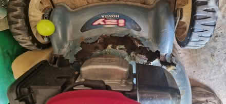 Photo of free Honda lawn mower perished deck (Bowbridge GL5) #1