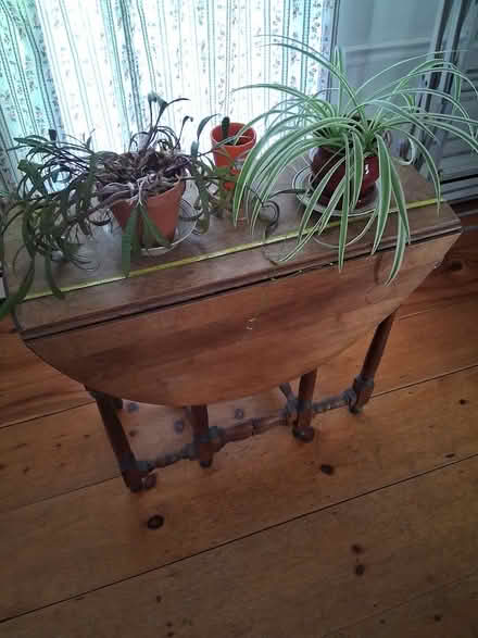 Photo of free Oval table with drop sides (Townsend) #2