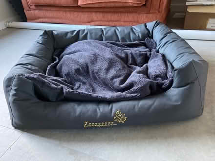 Photo of free Large dog bed (Glasnevin, Dublin 11) #1