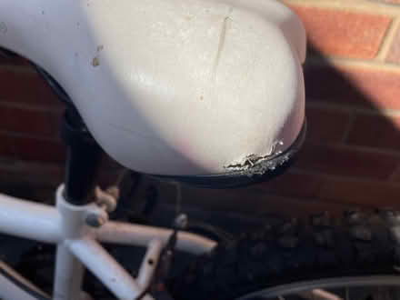 Photo of free 2 children’s bikes (Longbarn WA2) #4