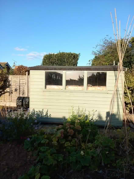 Photo of free Garden Shed (Felixstowe) #1