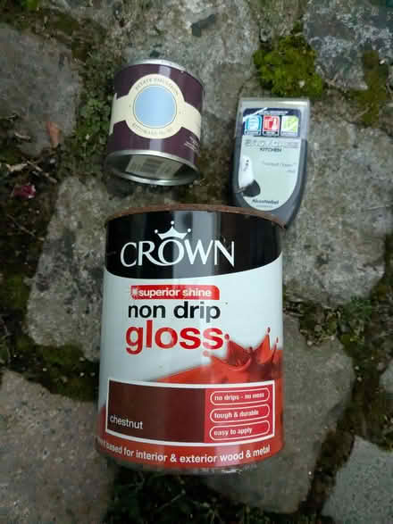 Photo of free Paint (Clieves Hills L39) #1