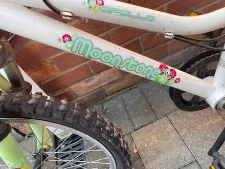 Photo of free 2 children’s bikes (Longbarn WA2) #3