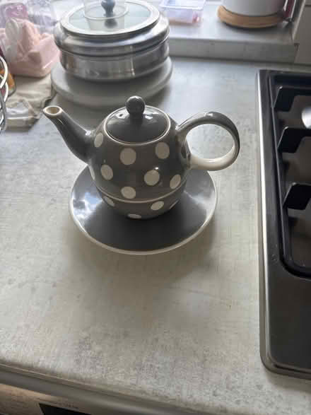 Photo of free Wittard teapot and cup in 1 (Wimbledon SW19) #1