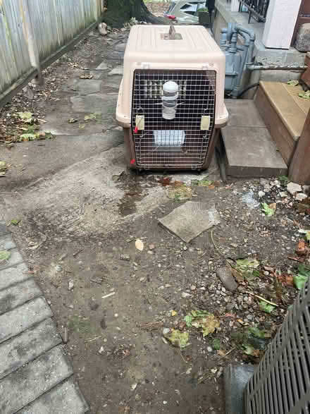 Photo of free pet carrier (bloor & ossington) #1