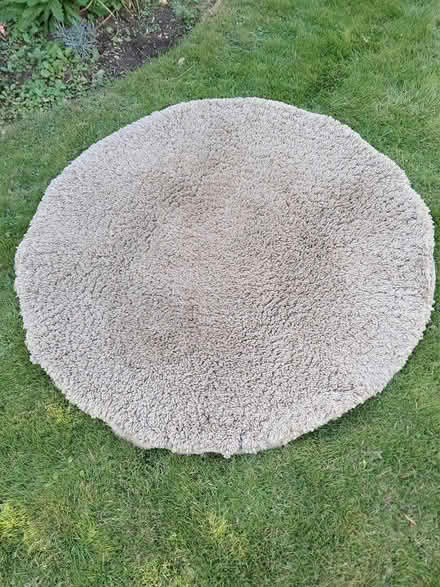 Photo of free Circular rug (Peterborough) #1