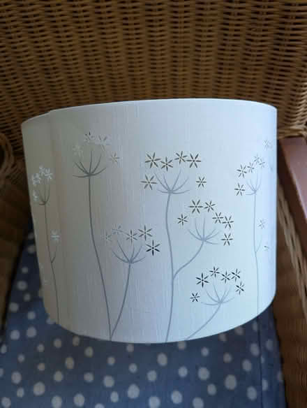Photo of free Drum lamp shade (Florence Park OX4) #1