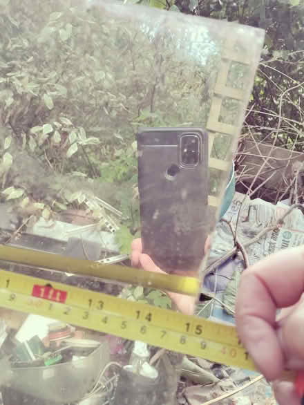 Photo of free Old Mirror without frame (Whiteleaved Oak HR8) #3