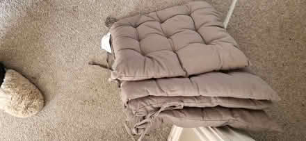 Photo of free Seat Cushions (Upton Priory SK10) #1