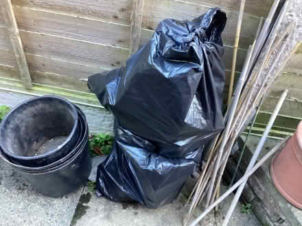 Photo of free Plastic plant pots and bamboo canes (Hackney Cross WR13) #1