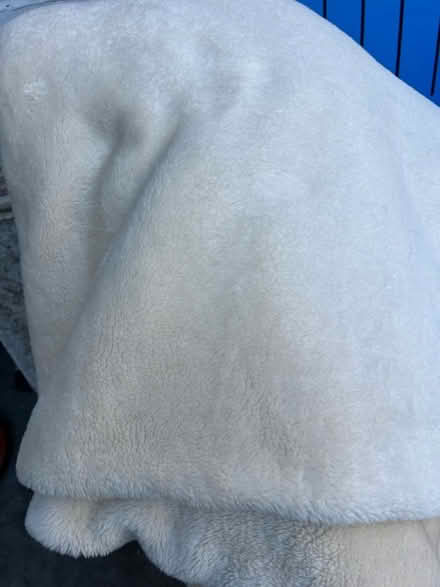 Photo of free Large throw (SW11) #1